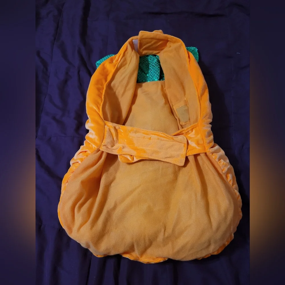 Thrills & Chills Pumpkin Dog Halloween Costume XL Dog October Fall Dress up